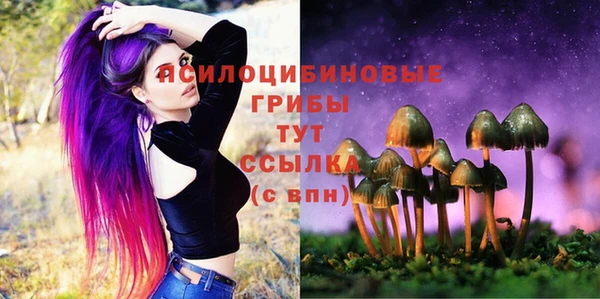 скорость Абаза