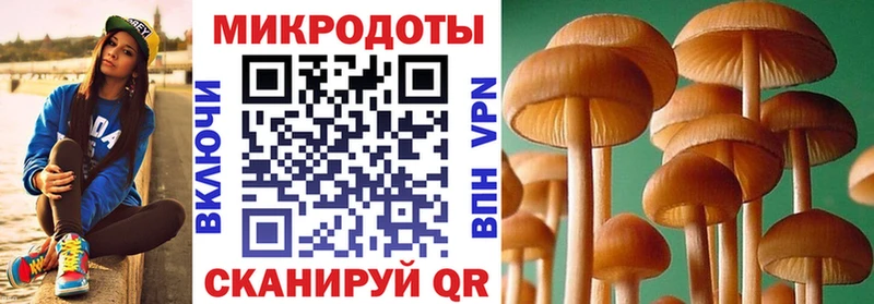 Псилоцибиновые грибы MAGIC MUSHROOMS  купить закладку  Лиски 